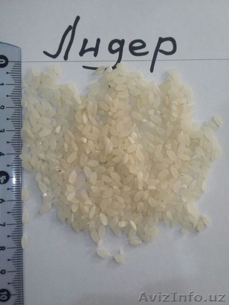 Рис от производителя - Изображение #1, Объявление #1631336