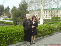 Медицинские услуги широкого профиля - Изображение #2, Объявление #59472