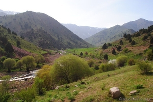 Гид по Ферганской Долине,  гид по Фергане